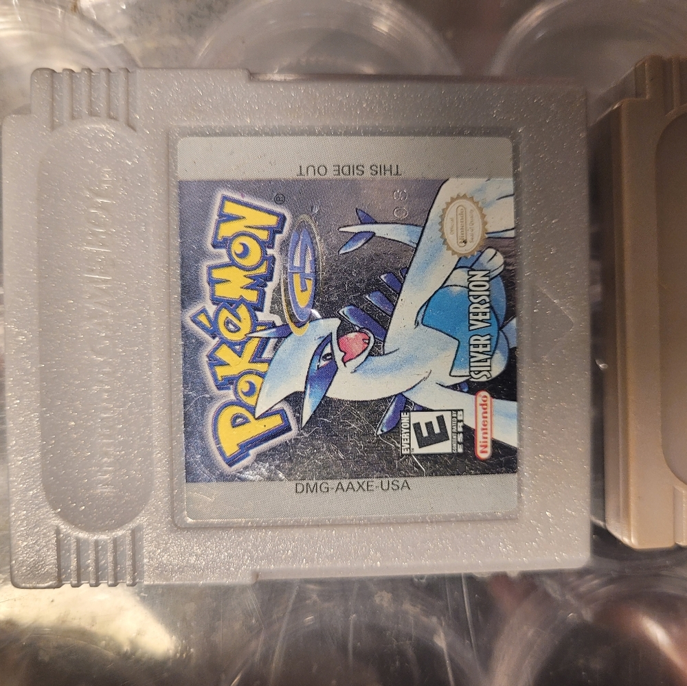 Pokemon game